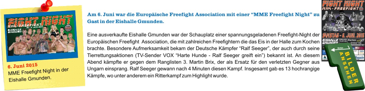 MME Fightnight 2015 in Gmunden